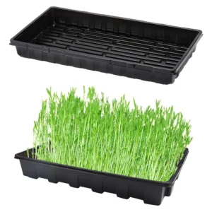 Propagation Tray