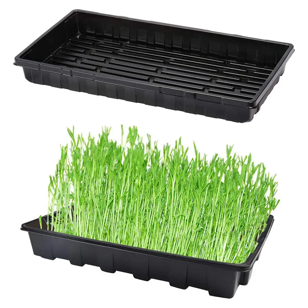 Propagation Tray