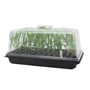 Seedling Germination Kit Starter Trays With Cover