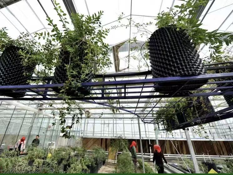 Flower nurseries