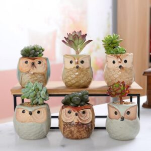 Cute Owl Ceramic Succulent Planter Pots