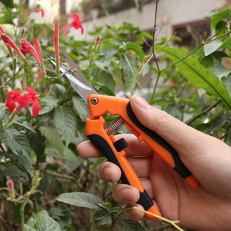 flower shear