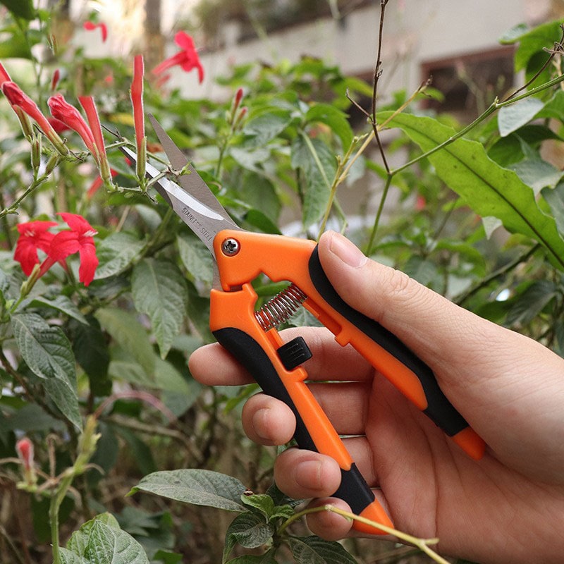 flower shear
