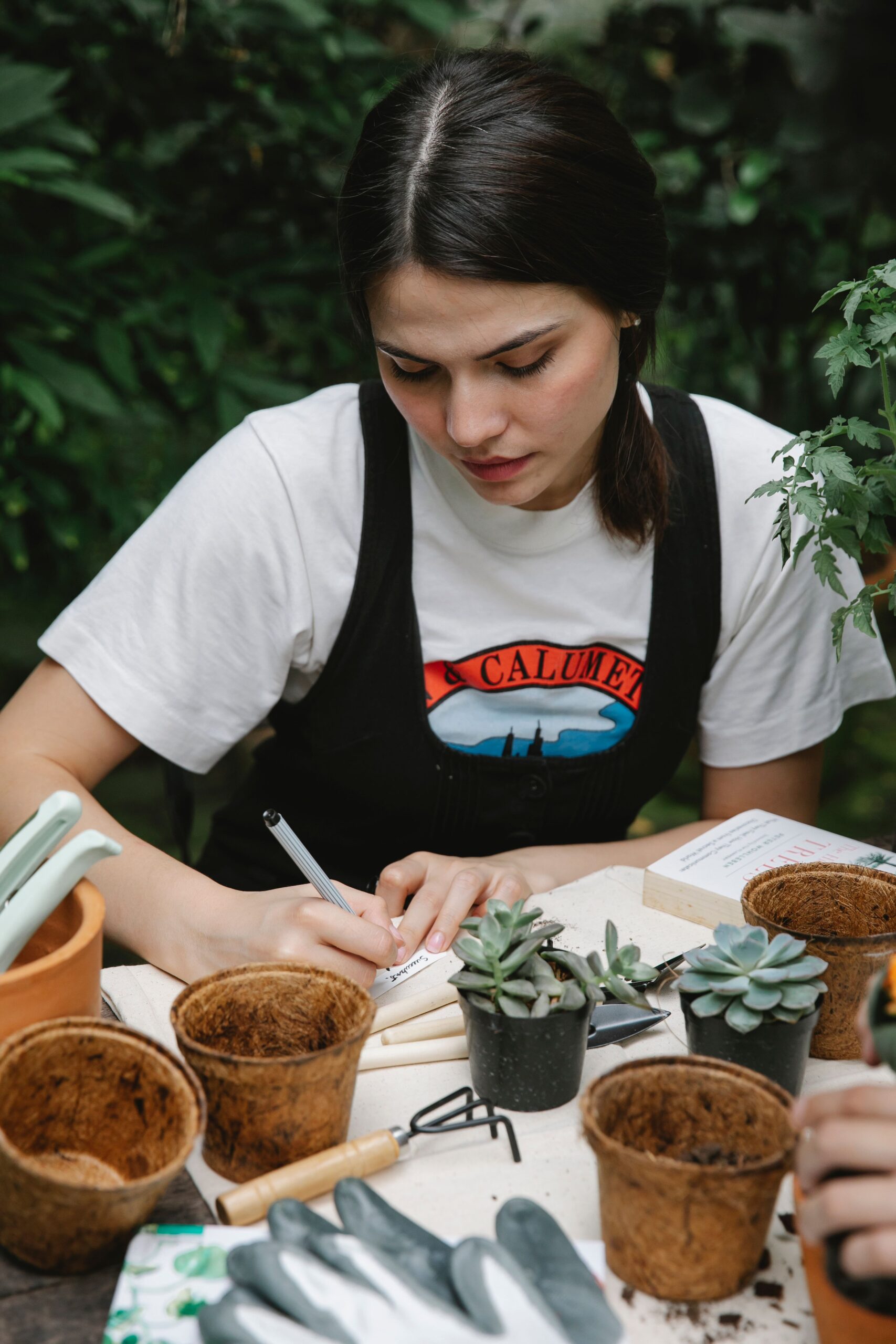 High angle of concentrated female gardener writing on paper while transplanting succulents in orangery