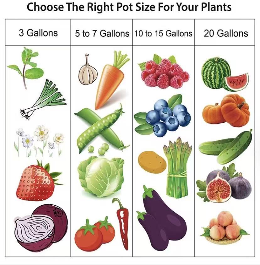 choose the right pot size for your plant 