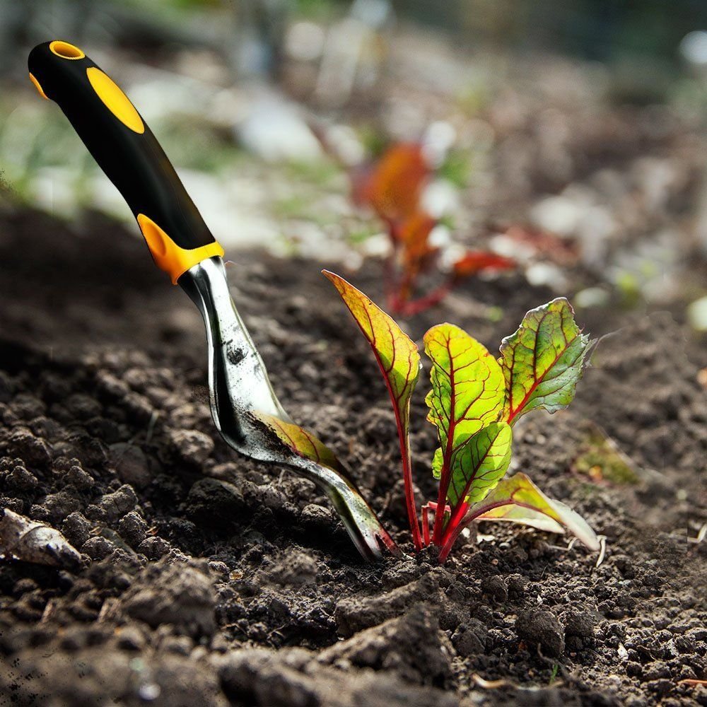 Hand Weeder Tool