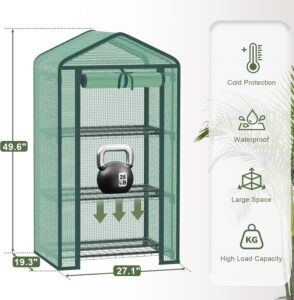 indoor plant greenhouse