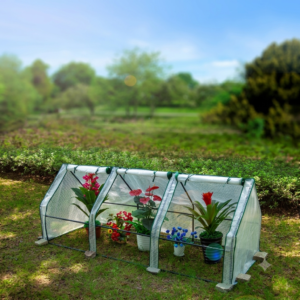 Seedling Starter Greenhouse