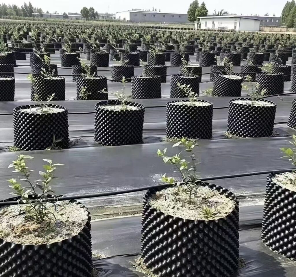tree container