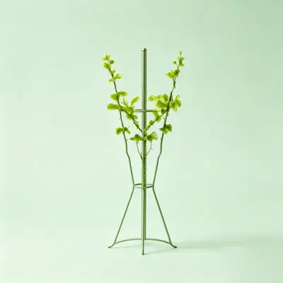 Garden Accessories