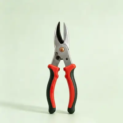 Garden Tools