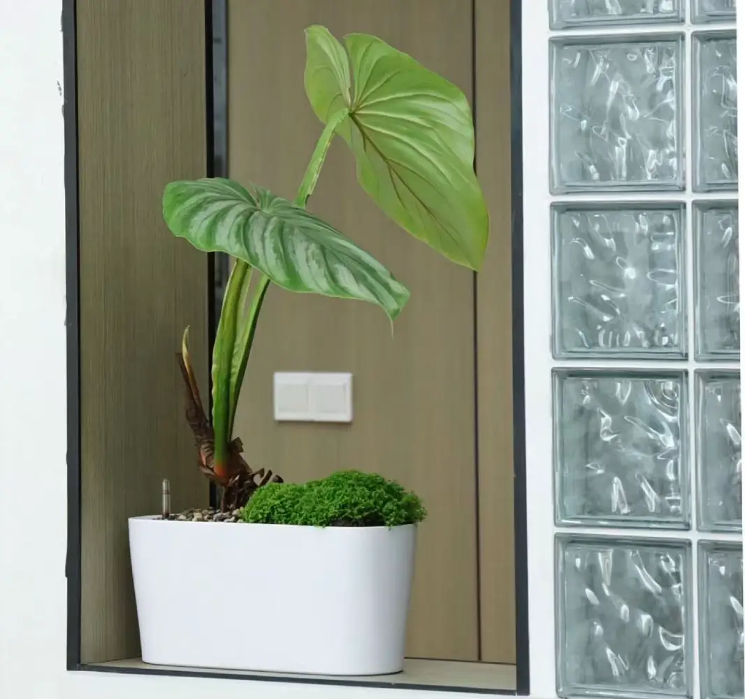 Self-Watering Planter