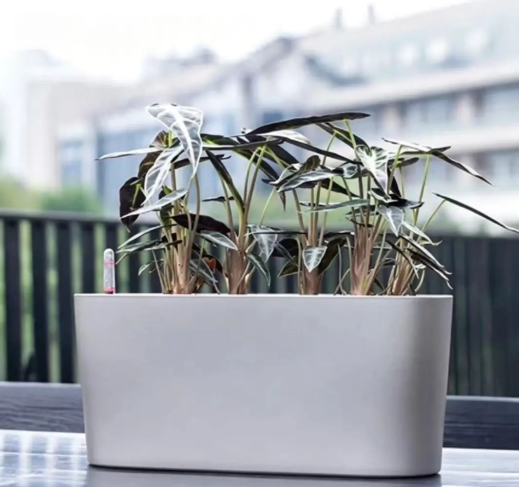 Rectangular Self-Watering Pot Planter For Home - Image 2